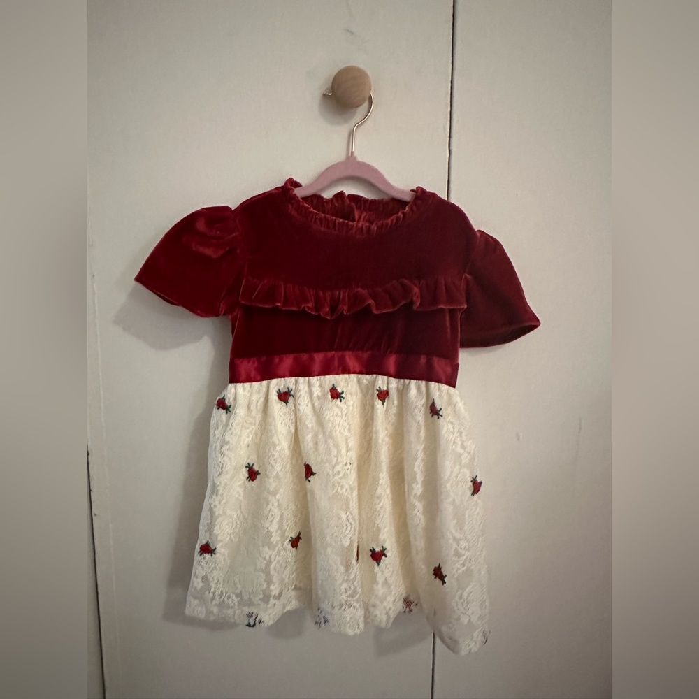 Nicole Miller New York Itty Bitty & Pretty Velour Party Dress- 24 months